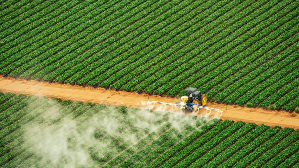 Best Mosquito Control Services  in USA